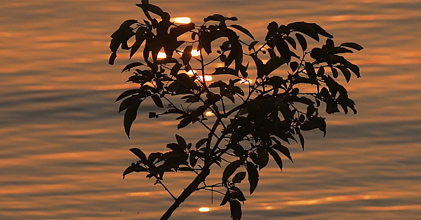 Postcard From Texas: Cooper Lake Waves