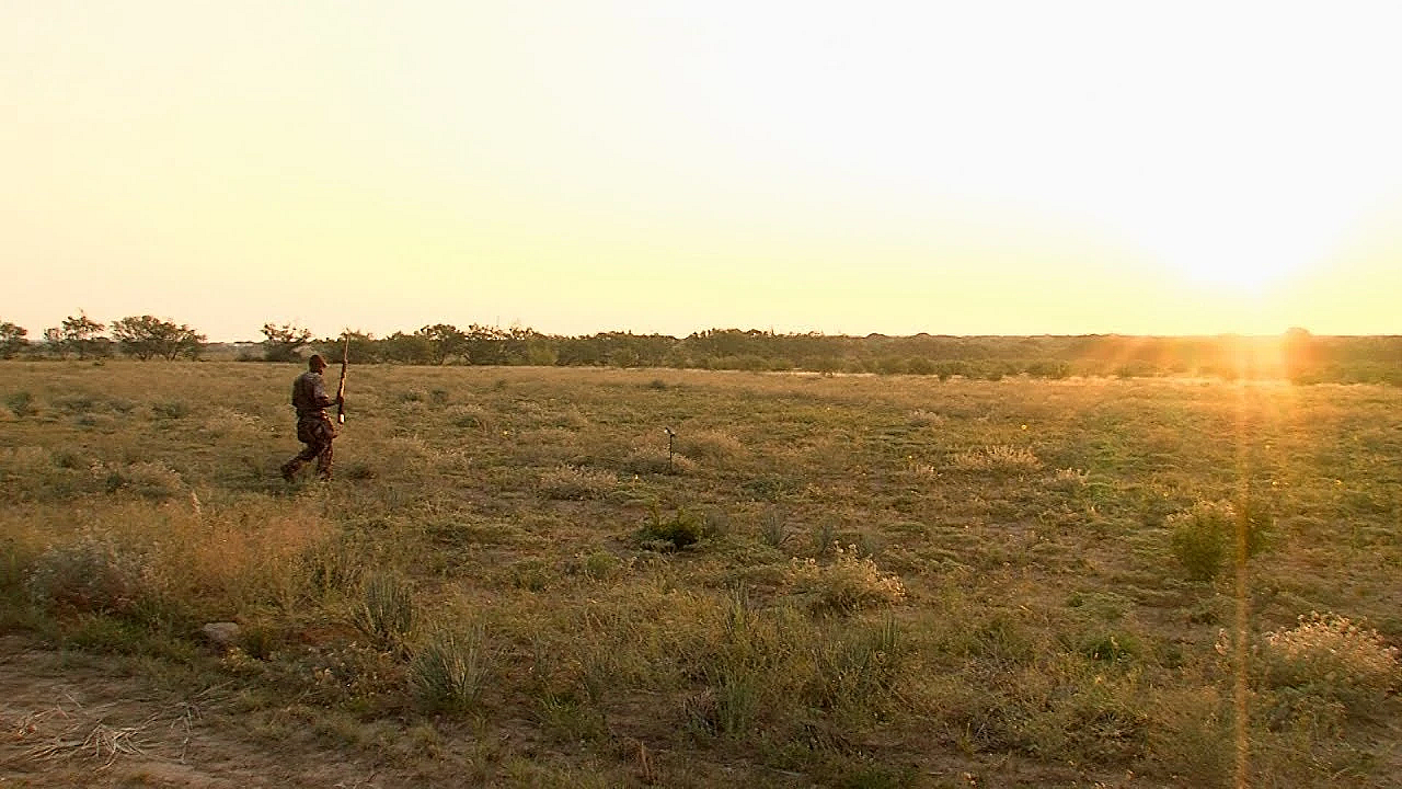 Pbs Show Hunting Dove, Hiking Dogs, Birding Hotspots, #2720