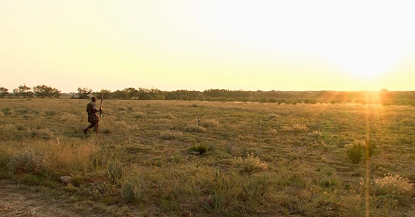 Pbs Show Hunting Dove, Hiking Dogs, Birding Hotspots, #2720