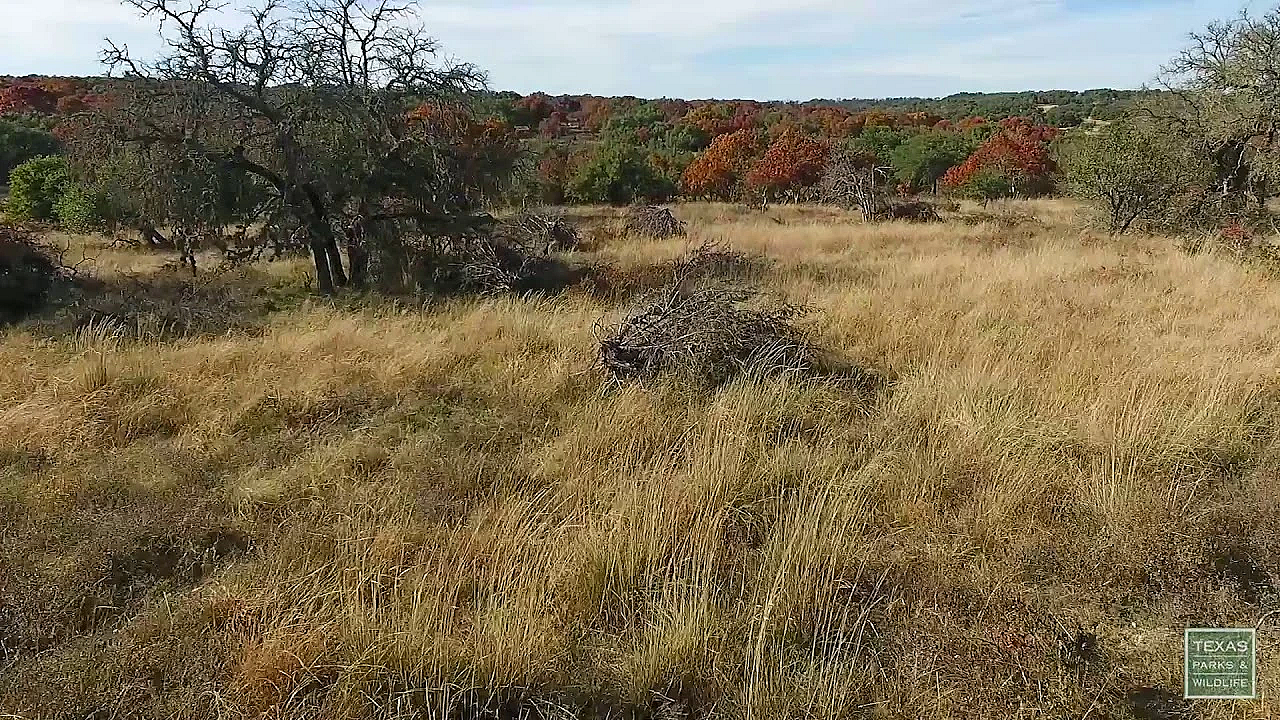 Fall Above The Hill Country - Postcard From Texas