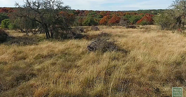 Fall Above The Hill Country - Postcard From Texas