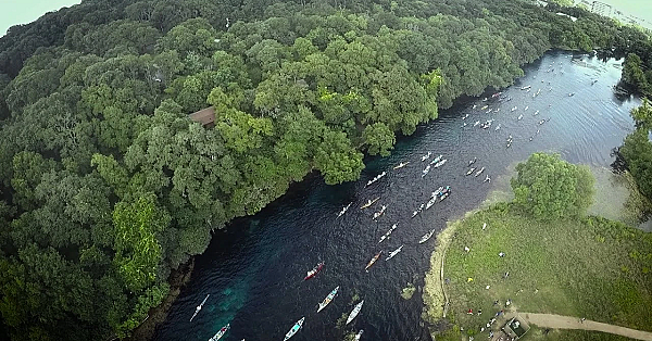 Pbs Show - Racing Down A River &amp; Loggerhead Shrikes - #3009