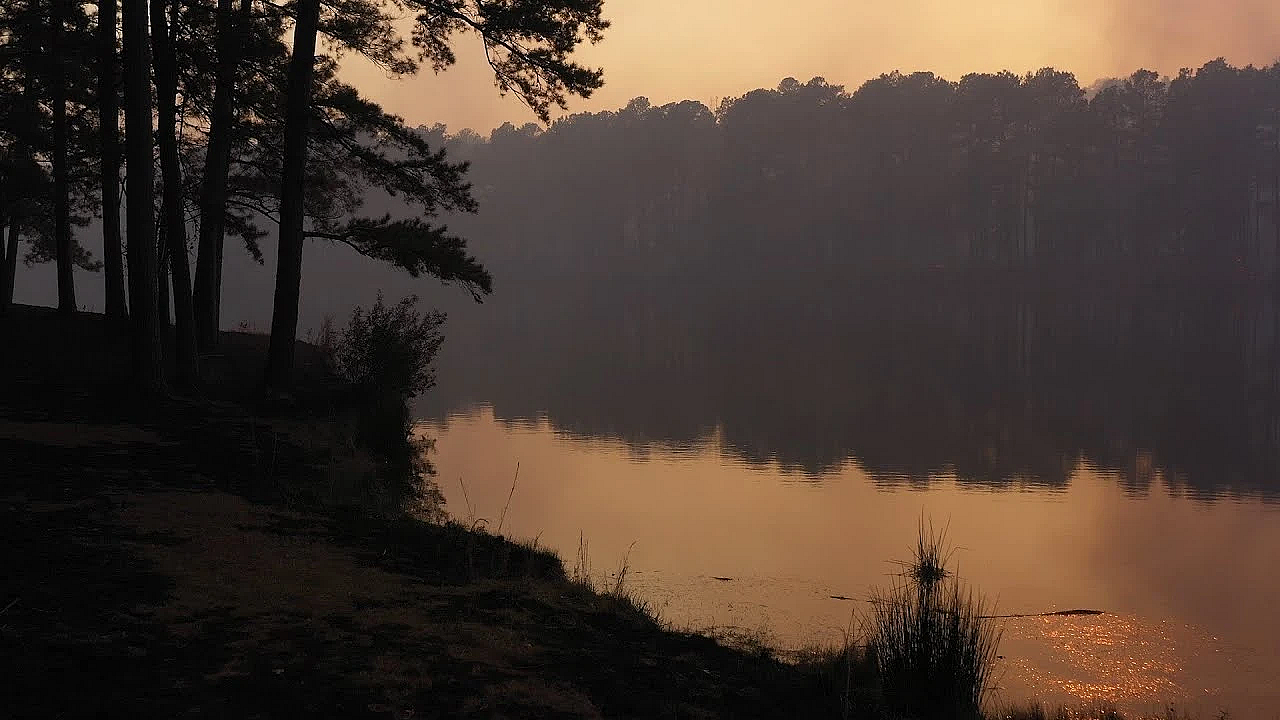 Pbs Show - Saving Starry Skies, Turkey Teamwork, Spooky Wildlife - #3003