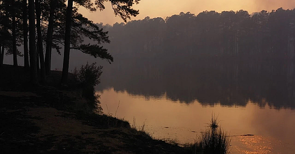 Pbs Show - Saving Starry Skies, Turkey Teamwork, Spooky Wildlife - #3003