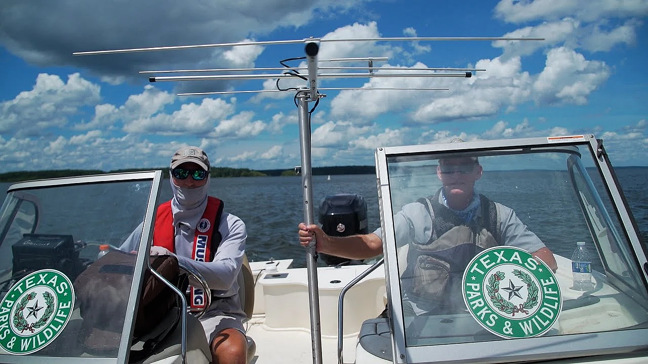 Pbs Show - Bass Tracking, Lake Corpus Christi, Kemp's Ridley History, #2916