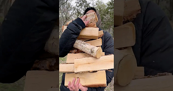 Watch This! Emerald Ash Borer #invasivespecies