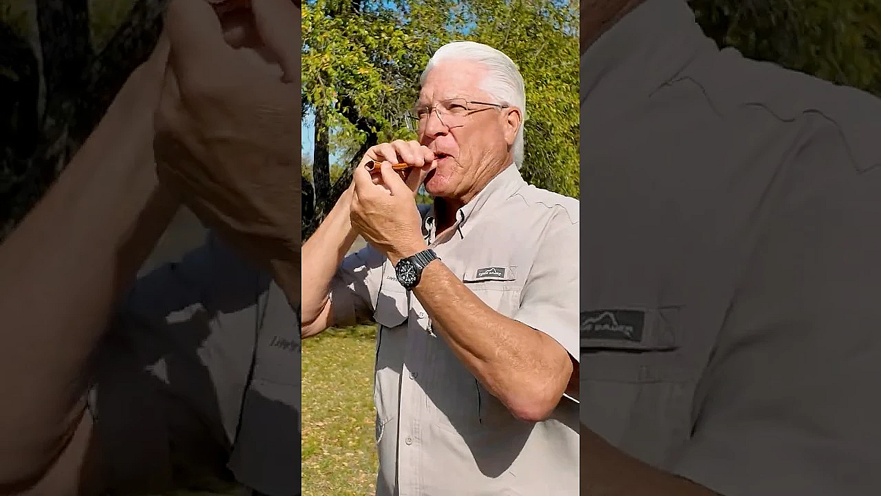 Turkey Calling 101 #texas