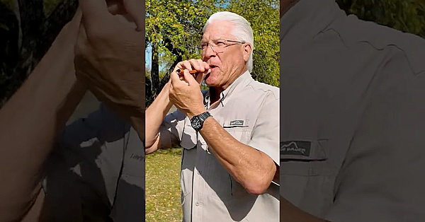 Turkey Calling 101 #texas