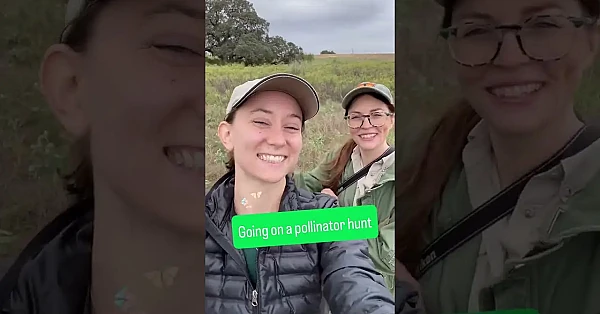 Wind Didn’t Stop Us 🌬️ #txpollinators