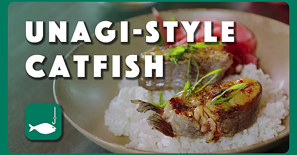 How To Cook Catfish Unagi