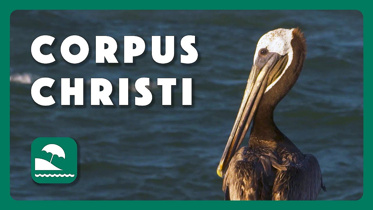 Along The Jetty - Postcard From Texas