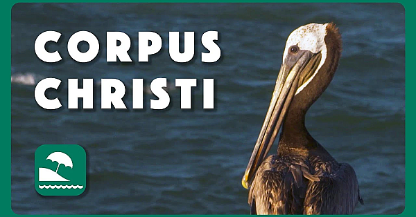 Along The Jetty - Postcard From Texas