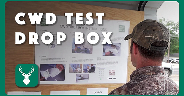 How To Use A Cwd Test Drop Box