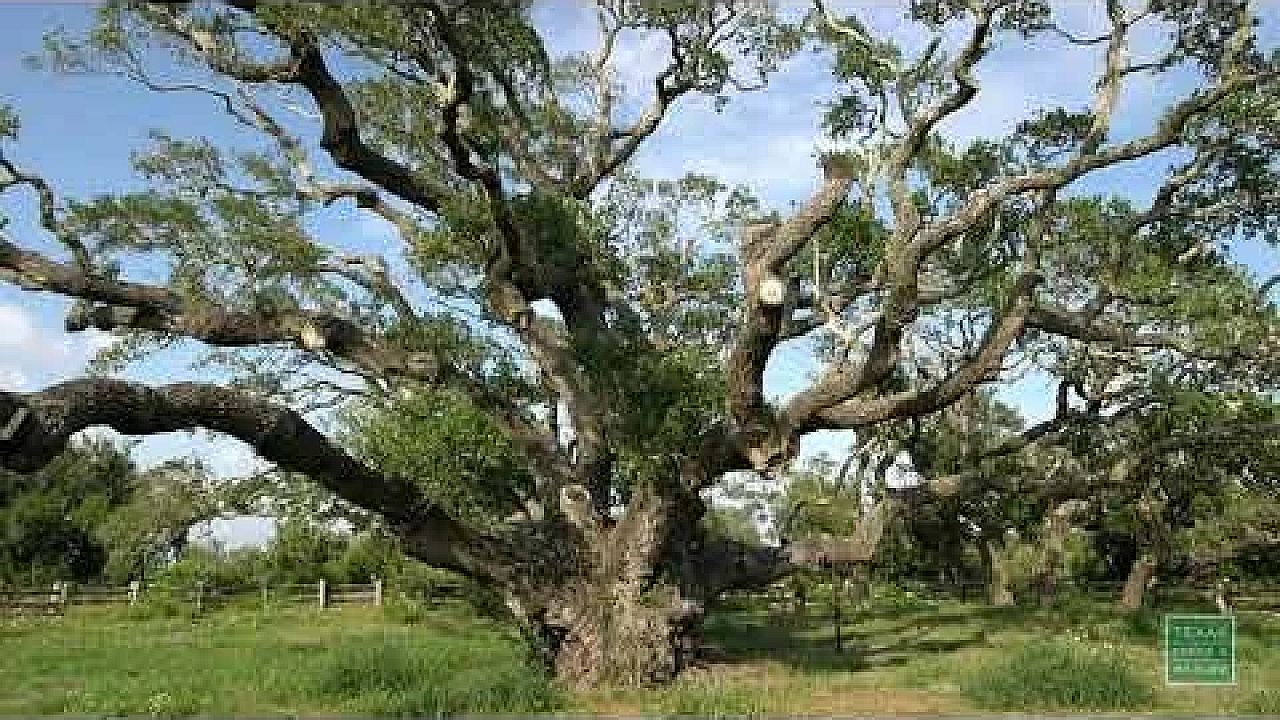 Breezy Day By The Bay - Postcard From Texas
