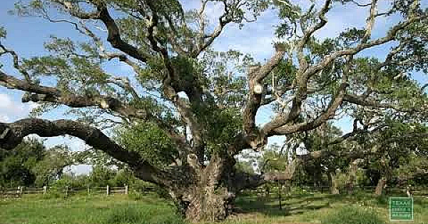 Breezy Day By The Bay - Postcard From Texas