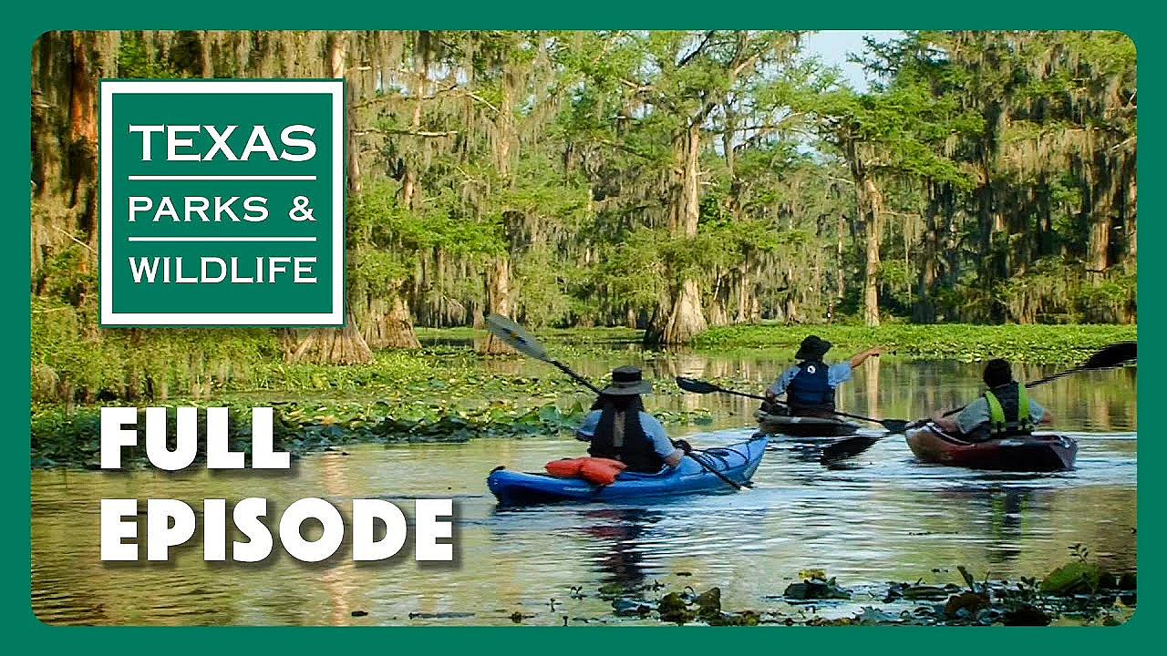 Pbs Show - Paddlefish, Field To Fork &amp; West Texas Steward