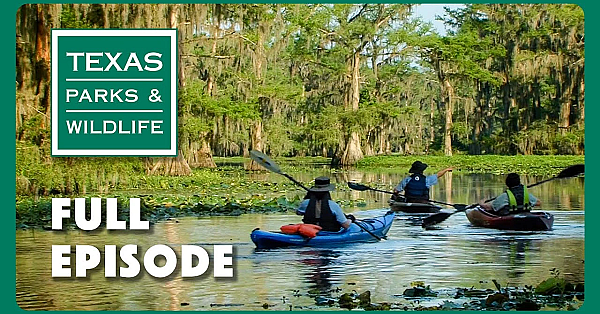 Pbs Show - Paddlefish, Field To Fork &amp; West Texas Steward