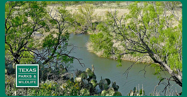 Pbs Preview- Bird Island Guardians, Ebel Grasslands, San Angelo State Park