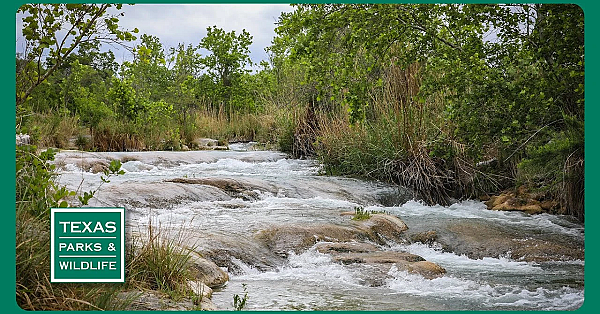 Pbs Trailer - Protecting Devils River, Creative Classroom &amp; Lake Corpus Christi