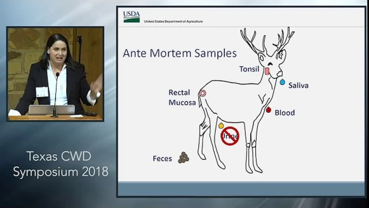 Texas Cwd Symposium: Diagnostics And Detection