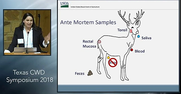 Texas Cwd Symposium: Diagnostics And Detection