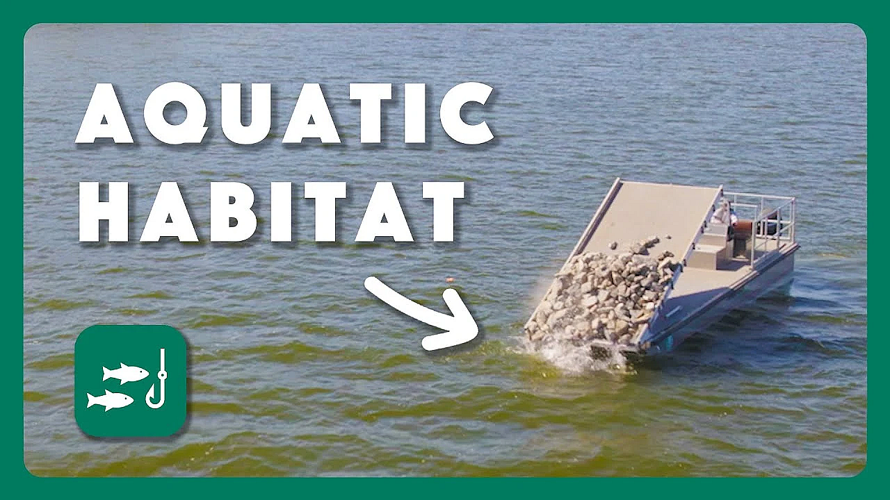 Recycled Aquatic Habitat