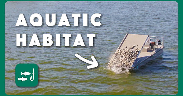 Recycled Aquatic Habitat