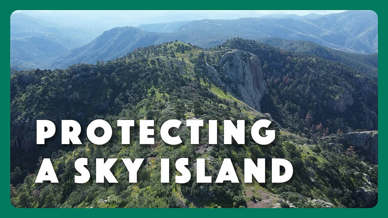 Protecting Davis Mountains