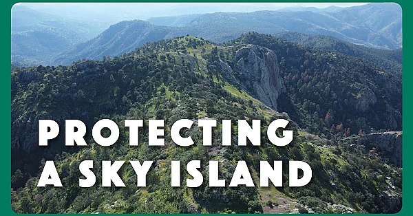 Protecting Davis Mountains