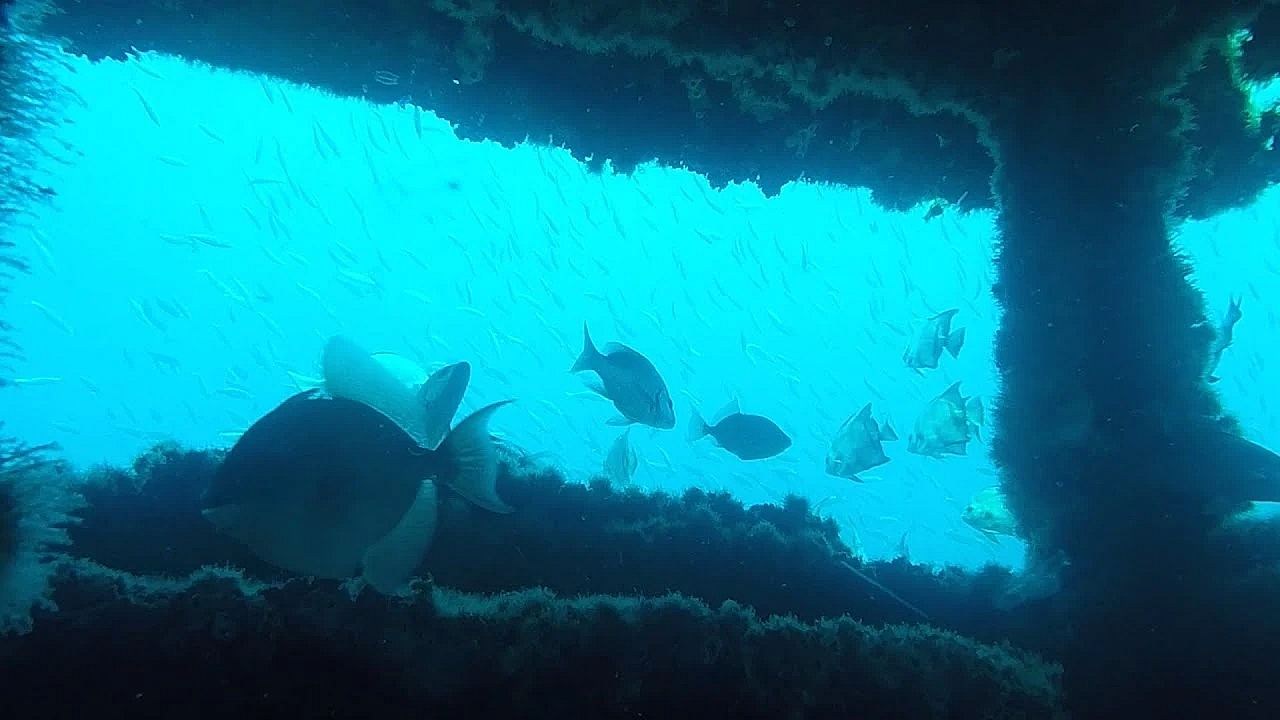 Pbs Show - Rio Grande Valley Reef, Hunting Refuge &amp; West Texas Surfing - #3016