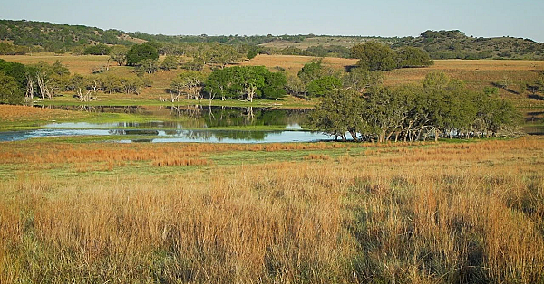 Looking After The Land