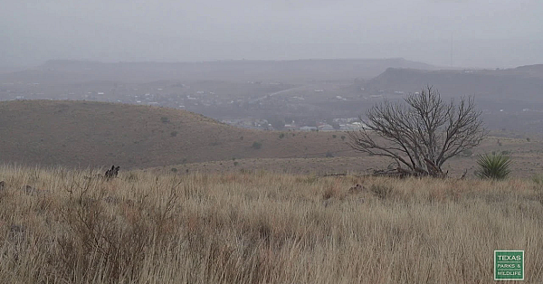 Wet Windy &amp; Cold In The Davis Mountains - Postcard From Texas