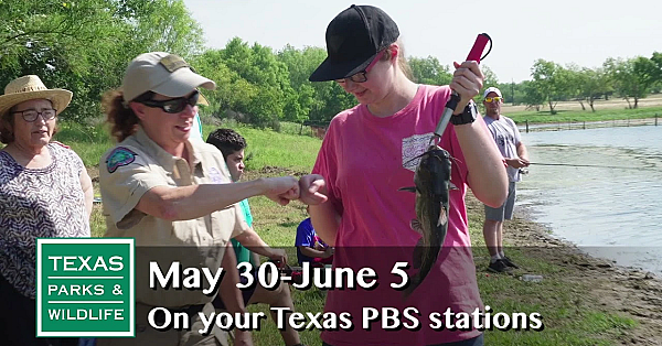 Pbs Preview - Game Wardens Past &amp; Present - #2908