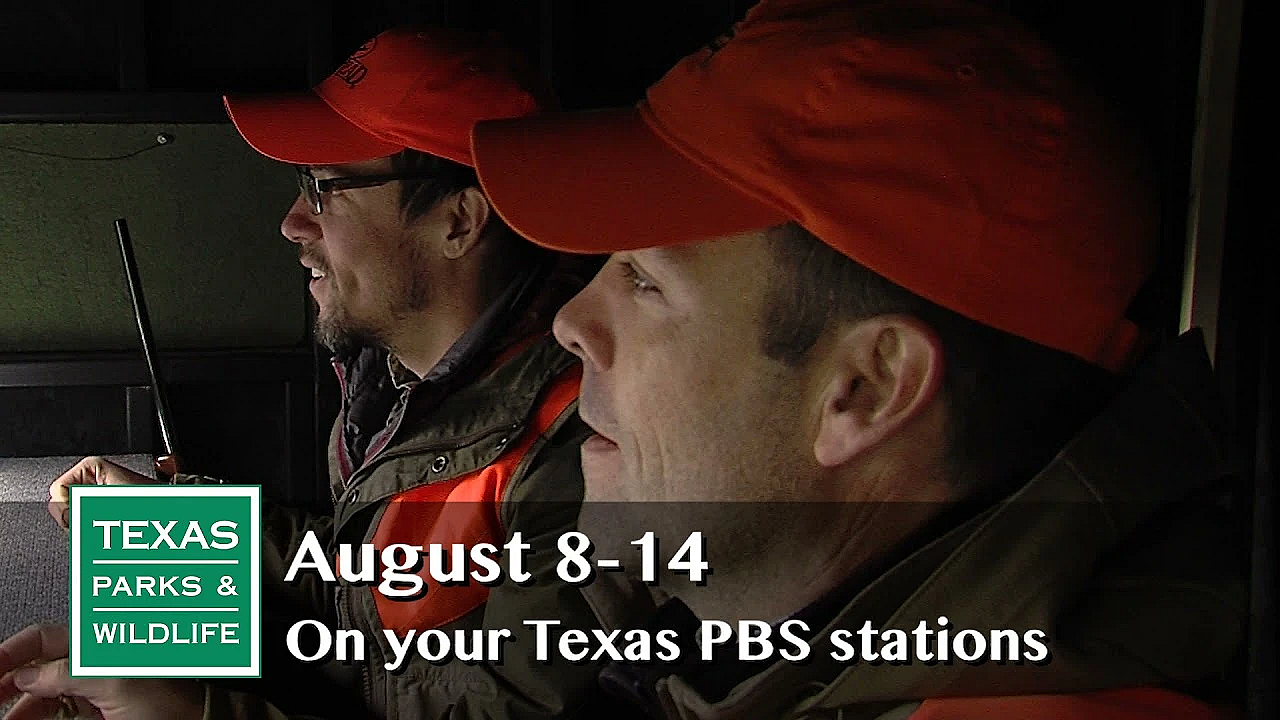 Pbs Preview - Bat Noses, Mentored Hunt, Environmental Example - #2918