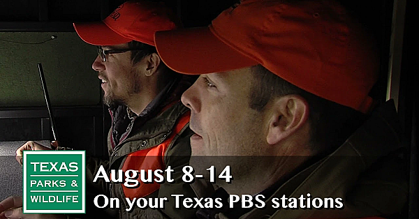 Pbs Preview - Bat Noses, Mentored Hunt, Environmental Example - #2918