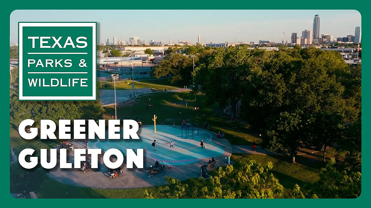 Greener Gulfton