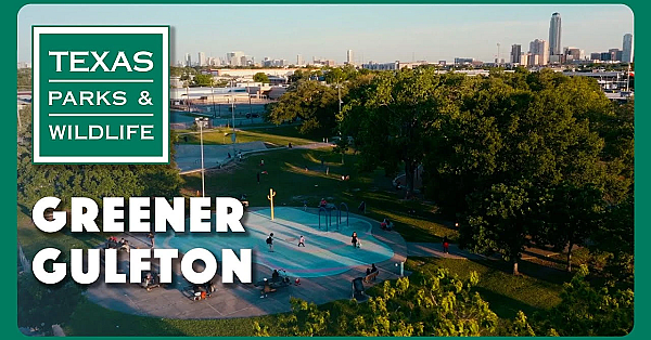 Greener Gulfton