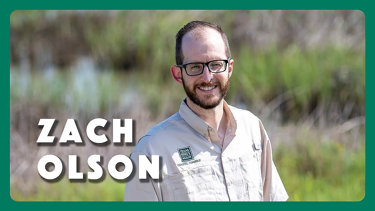 Zach Olson - Data Tells A Story