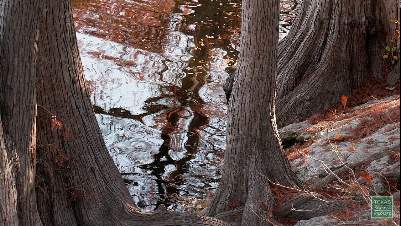 Fall At Mckinney Falls State Park - Postcard From Texas