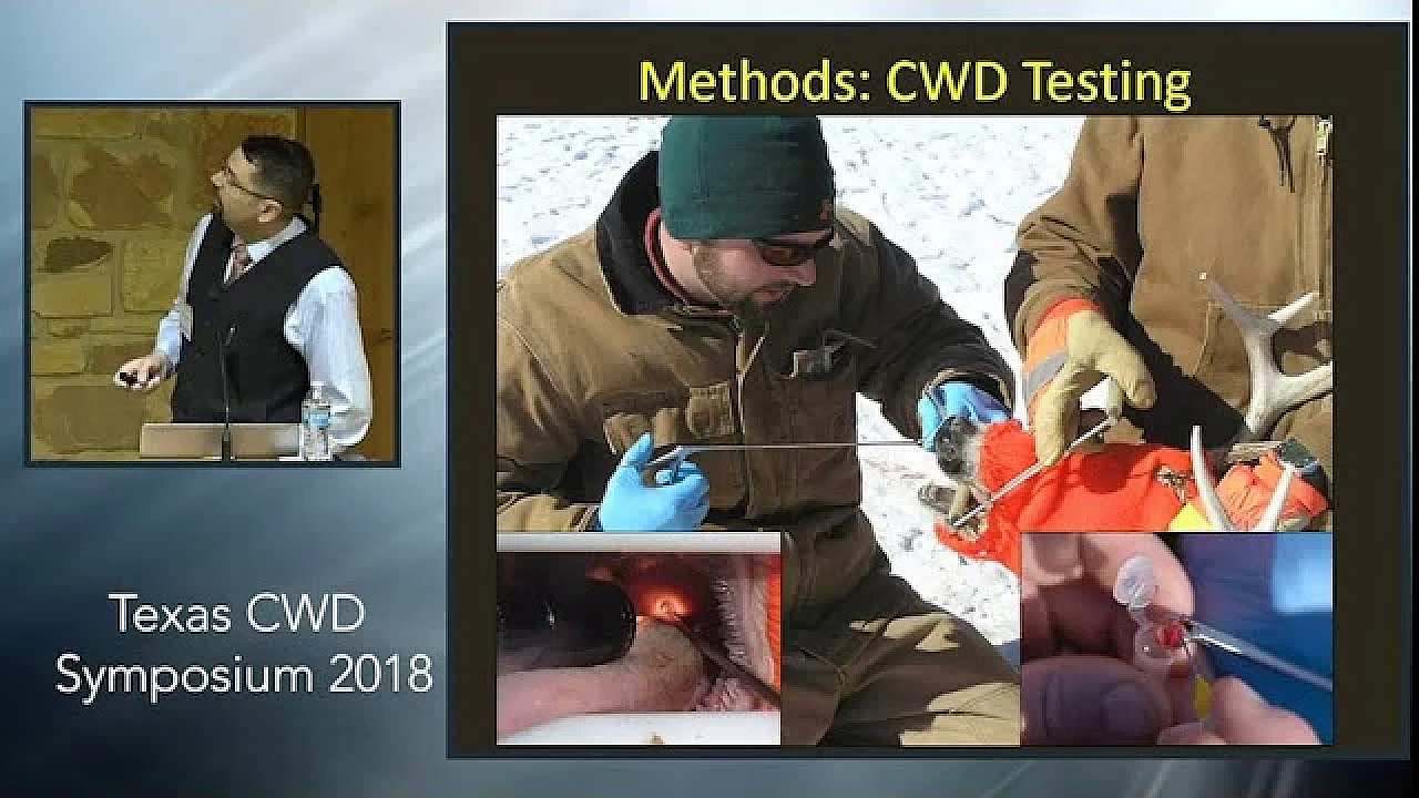 Texas Cwd Symposium: Cwd Drives Population Decline