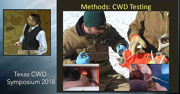 Texas Cwd Symposium: Cwd Drives Population Decline
