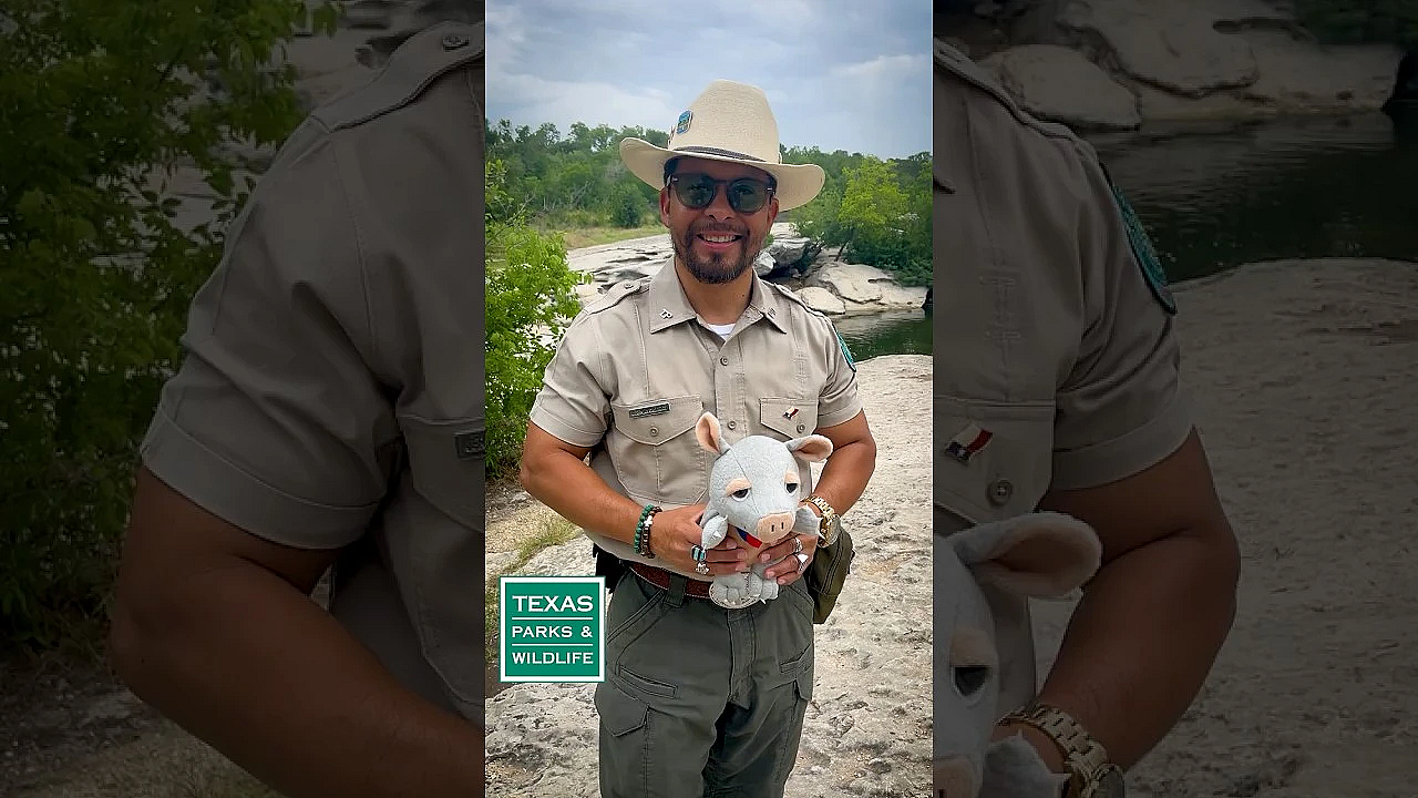 Leave Wildlife Alone