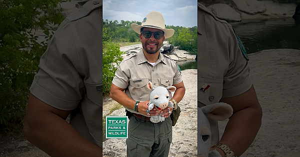 Leave Wildlife Alone