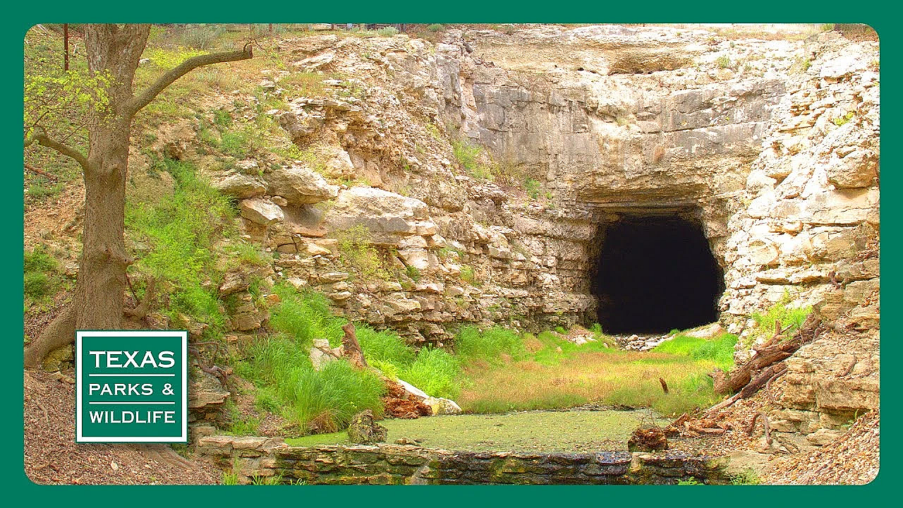 Pbs Preview - Flocking With Friends, Fishing Facilitator &amp; Old Tunnel