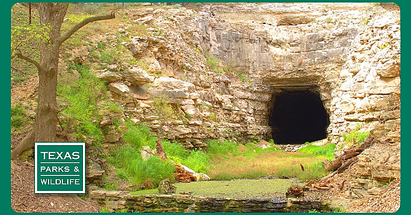 Pbs Preview - Flocking With Friends, Fishing Facilitator &amp; Old Tunnel