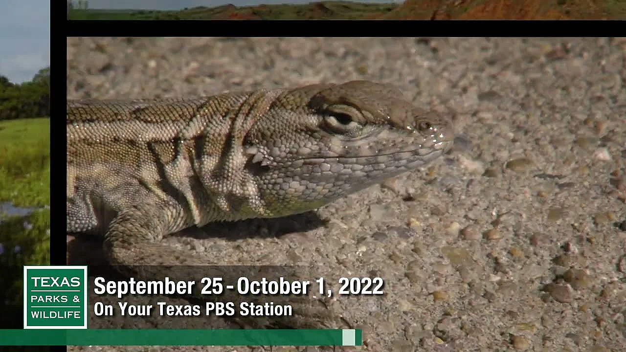 Pbs Preview - Operation Snap, Desert Dunes, Cave People