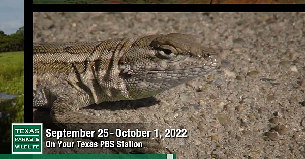 Pbs Preview - Operation Snap, Desert Dunes, Cave People