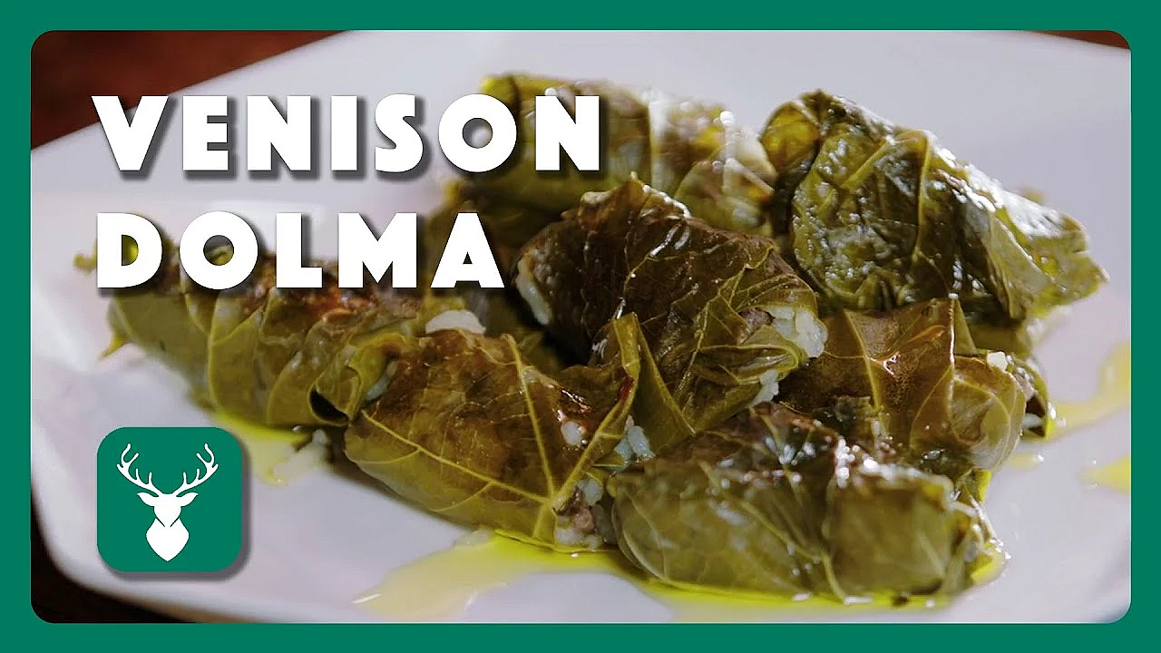 Venison Dolma