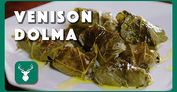 Venison Dolma