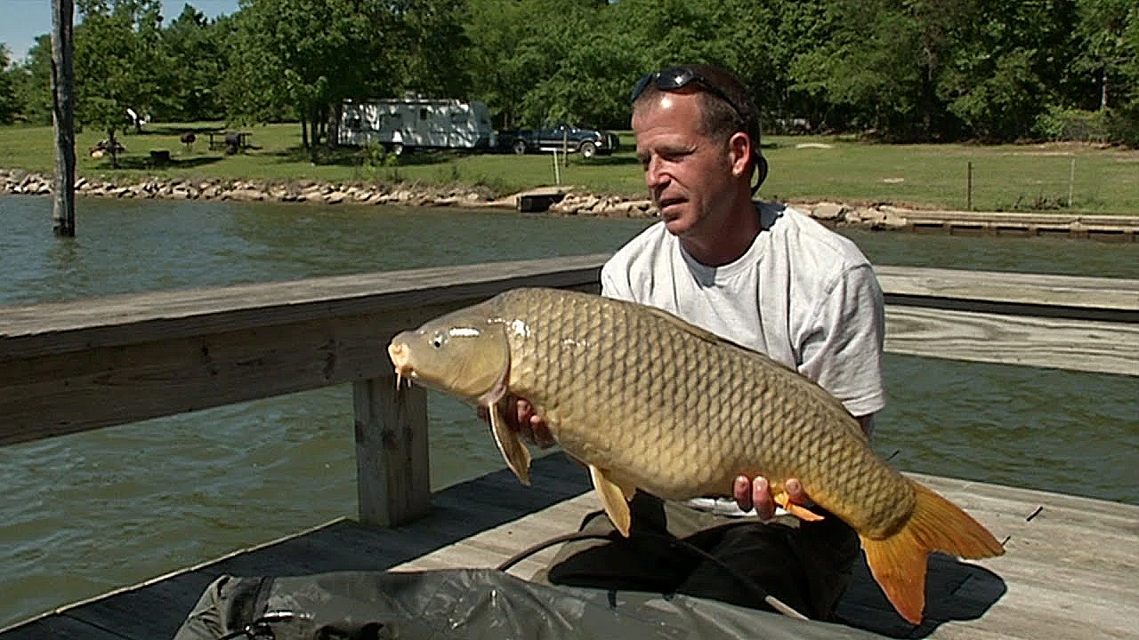 Catching Carp, The International Pursuit - Texas Parks And Wildlife [official]
